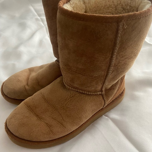 Ugg - Short Boots - Picture 3 of 5